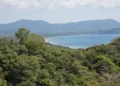 Tropical forest overlooking a curved beach and distant mountains.