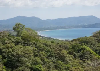 Tropical forest overlooking a curved beach and distant mountains.