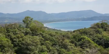 Tropical forest overlooking a curved beach and distant mountains.