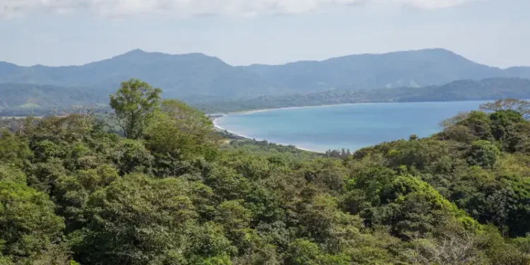 Tropical forest overlooking a curved beach and distant mountains.