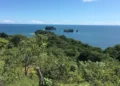 View of Los Islotes, showing lush tropical forest in the foreground and several small rocky islets surrounded by the blue ocean under a clear sky.