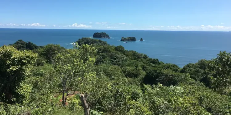 View of Los Islotes, showing lush tropical forest in the foreground and several small rocky islets surrounded by the blue ocean under a clear sky.