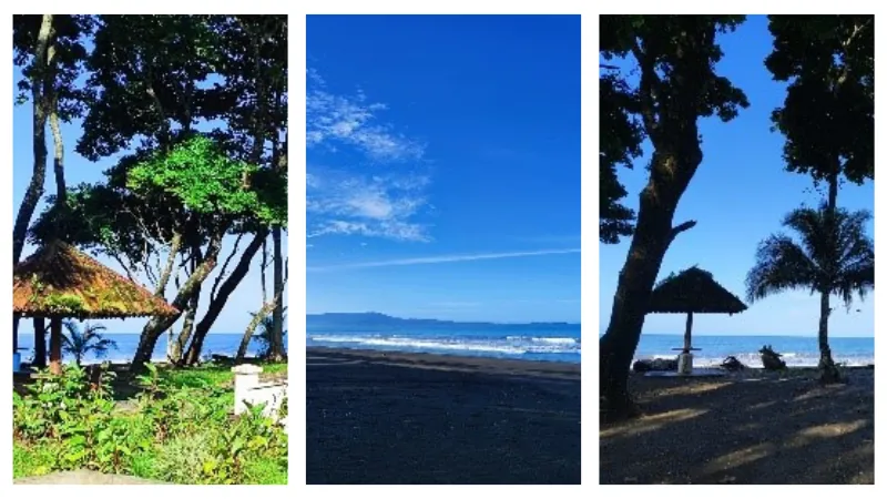 Three tropical beach scenes: a hut in greenery, black sand shoreline, and shaded lounge chairs by the ocean.