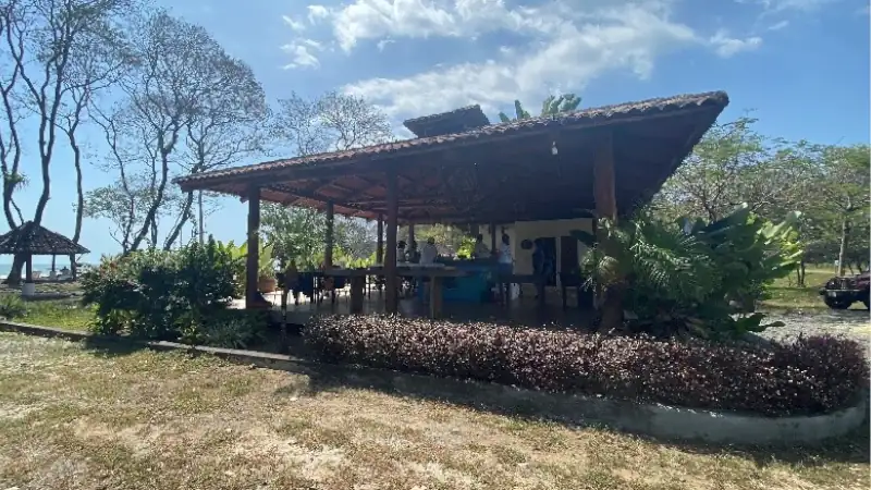 Rustic open-air restaurant surrounded by tropical vegetation near the beach.