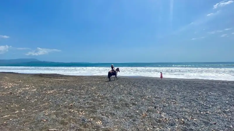Horseback rider along a scenic black-sand beach with ocean waves and distant mountains.
