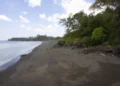A remote beach with dark sand, gentle waves, and dense green trees lining the shore under a partly cloudy sky.