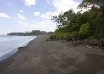 A remote beach with dark sand, gentle waves, and dense green trees lining the shore under a partly cloudy sky.