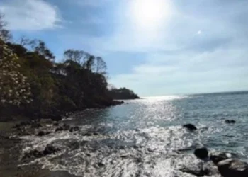Rocky shoreline with trees overlooking the Pacific Ocean at Los Islotes, Panama, under a bright sun and clear sky.