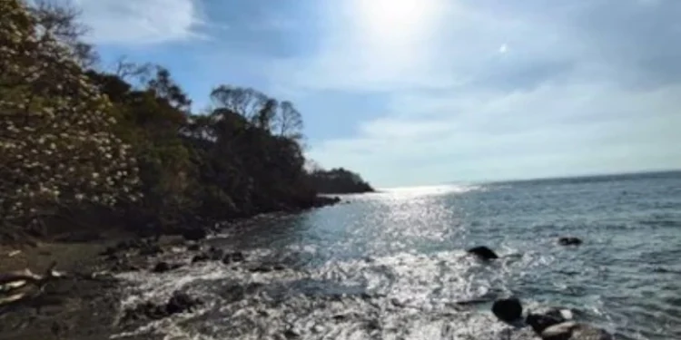 Rocky shoreline with trees overlooking the Pacific Ocean at Los Islotes, Panama, under a bright sun and clear sky.