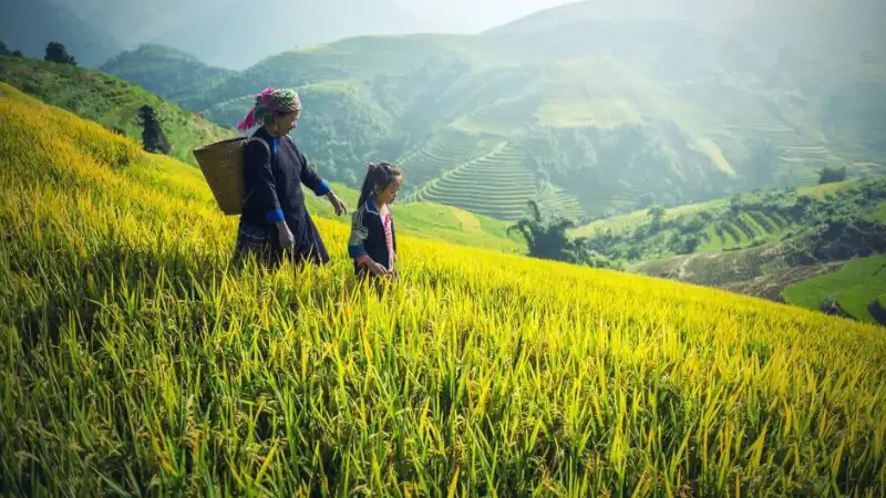 Mother and daughter walking down a hill of rice plantations, climate in Cambodia
