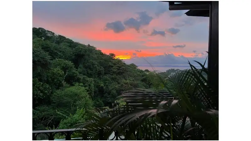 Vibrant sunset over the ocean, viewed through lush tropical forest from a balcony.