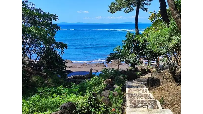 Stone pathway winding through lush vegetation toward a blue ocean and rocky shoreline.
