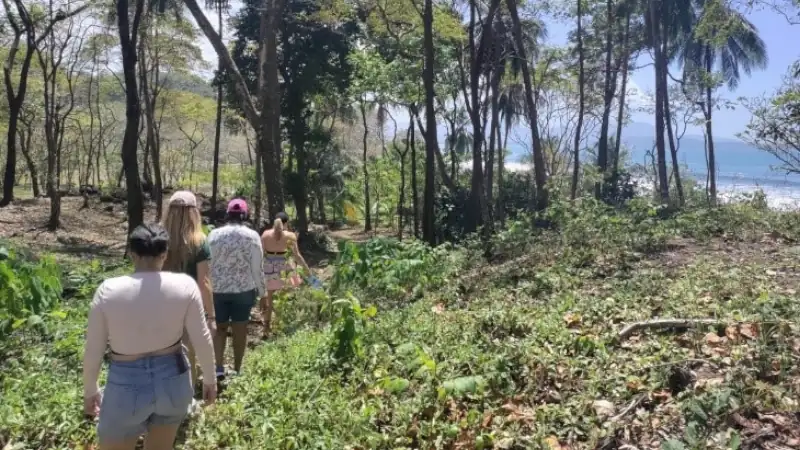 Group walking through a lush tropical forest with views of the ocean and coastline.