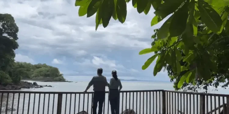Lief and Kathleen standing together on a wooden viewing deck, gazing out over a calm ocean surrounded by lush greenery and a cloudy sky.