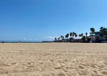 Wide sandy beach with palm trees and beachfront buildings under a clear blue sky.