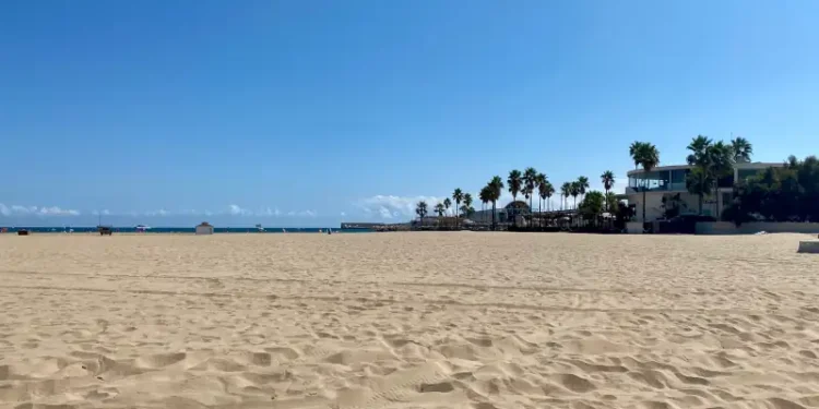 Wide sandy beach with palm trees and beachfront buildings under a clear blue sky.