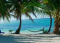 Tropical beach with palm trees, a hammock, and turquoise ocean water under a sunny sky.