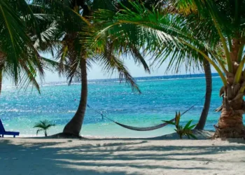 Tropical beach with palm trees, a hammock, and turquoise ocean water under a sunny sky.