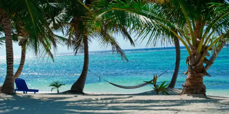 Tropical beach with palm trees, a hammock, and turquoise ocean water under a sunny sky.