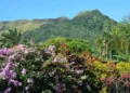 Randonnée La India Dormida El Valle de Antón Panama