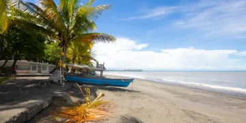Tropical beach with palm trees in Puerto Armuelles