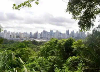 View of Panama City's modern skyline in the distance, framed by lush tropical rainforest in Metropolitan Natural Park under a cloudy sky.