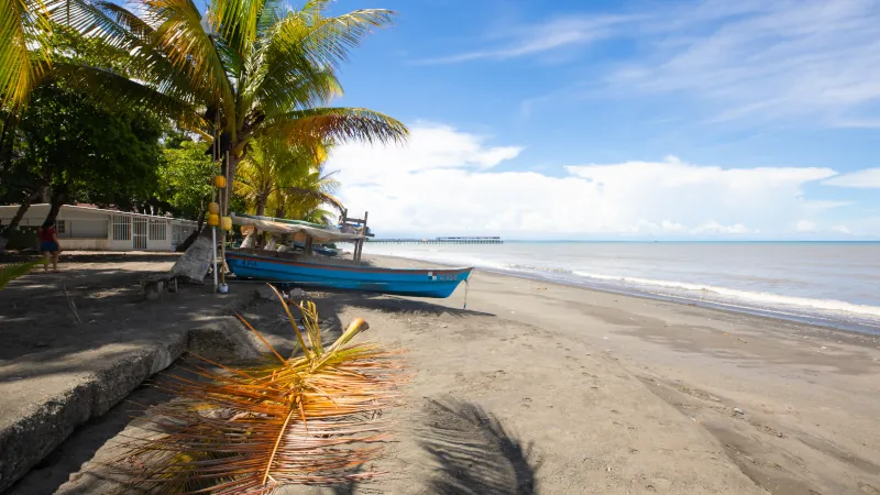 Panama Chiriqui province, tropical beach with palm trees in Puerto Armuelles