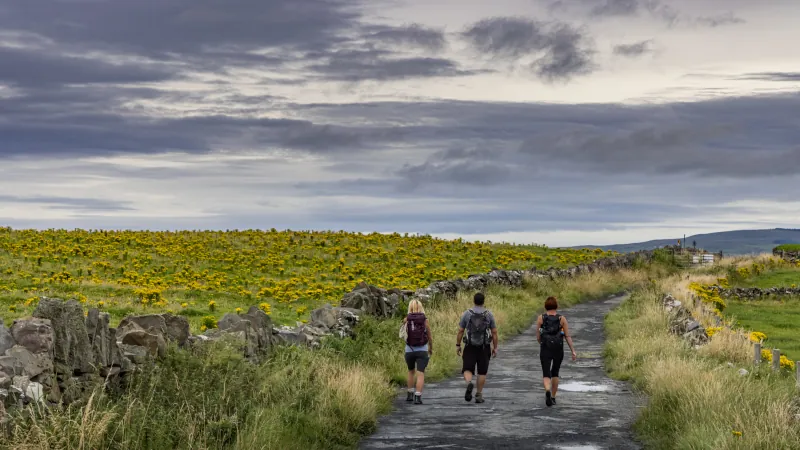 The Wild Atlantic Way, The Cliffs of Moher, The Burren Way hiking trail, The Burren, County Clare, Ireland