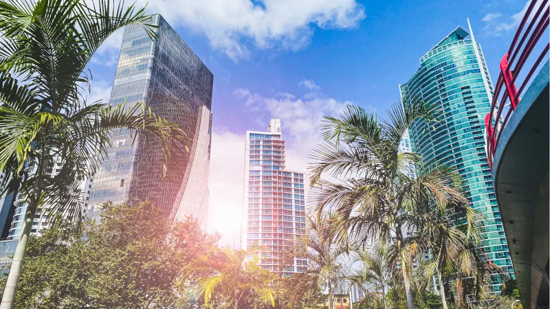 Panama City financial district skyline with modern high-rise buildings and palm trees, representing Panama’s tax system and territorial taxation laws.