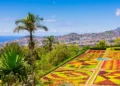 flowerbeds of Funchal’s botanical garden