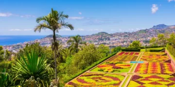 flowerbeds of Funchal’s botanical garden