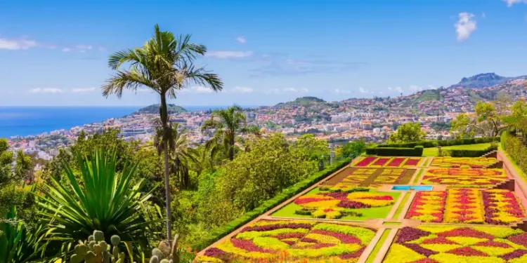 flowerbeds of Funchal’s botanical garden