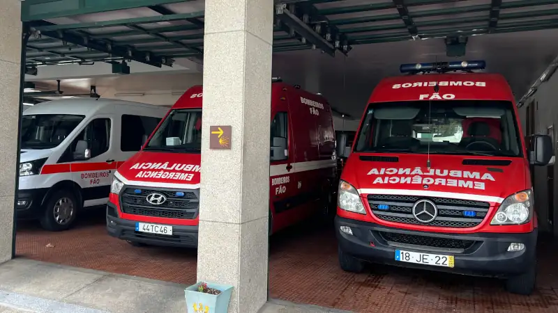 Emergency vehicles parked in a garage, symbolizing safety services.
