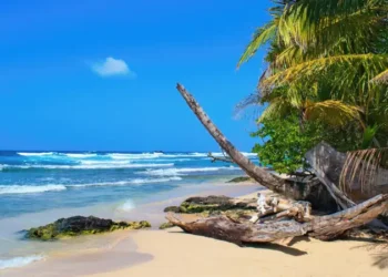 Wizard beach, Bastimentos Island, Bocas del Toro, Panama