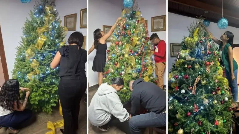our office tree-trimming party every year
