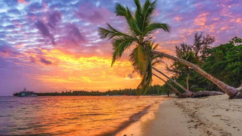 Beautiful sunrise over tropical beach and palm trees in the Dominican Republic. caribbean haven Best Countries To Own A Second Home