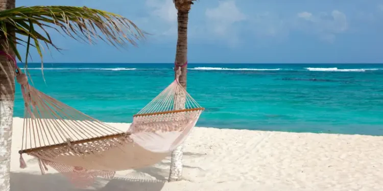 Idyllic beach with coconut trees and hammock at Mexico