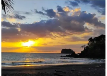 sunset over a quiet beach: the sun is low on the horizon, casting golden light across the ocean
