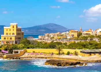 Mediterranean seacoast in Alghero city, Sardinia, Italy. Spring flowers and trees on foreground, colourful buildings of Alghero old city center on background