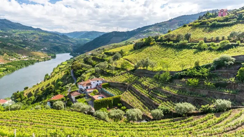 Landscape of the Douro river regionin Portugal