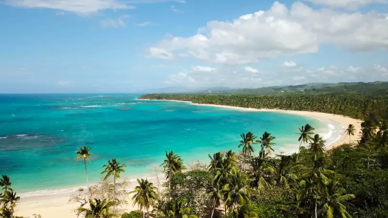 Tropical paradise beach with coconut trees and blue water