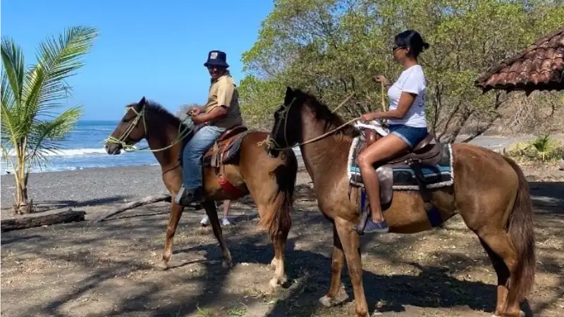 Two people ride horses along a coastal path, with trees providing shade and the ocean visible in the background under a clear blue sky.