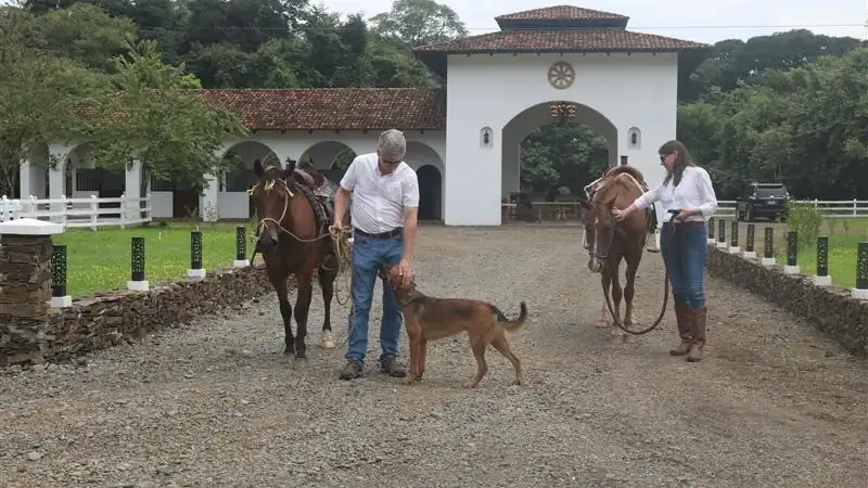 Lief and Kathleen with two horses on a gravel driveway, pausing to greet a dog in front of a white ranch-style building surrounded by greenery