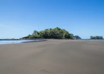 Wide sandy beach at low tide leading to a small lush island, with calm ocean waves and a clear blue sky.