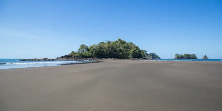 Wide sandy beach at low tide leading to a small lush island, with calm ocean waves and a clear blue sky.