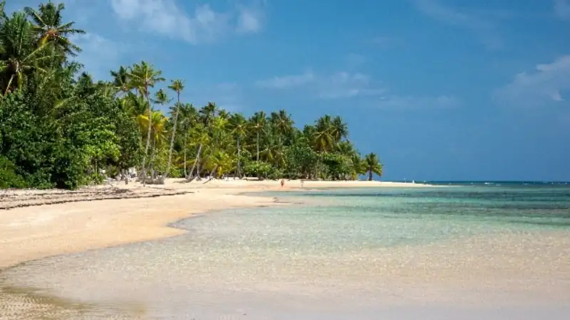 Sandy tropical beach lined with palm trees and calm, crystal-clear turquoise water under a bright blue sky.