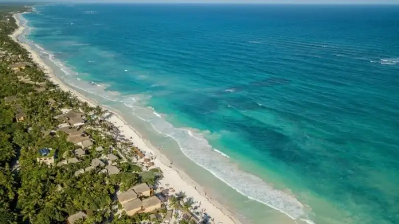 Aerial view of a tropical coastline with turquoise waters, white sand, and palm-lined beachfront homes.