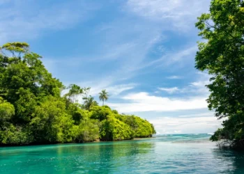 Tropical Waterfront Hut on the Pristine Island of Escudo de Veraguas, Panama