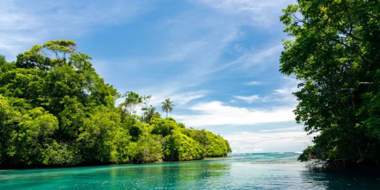 Tropical Waterfront Hut on the Pristine Island of Escudo de Veraguas, Panama