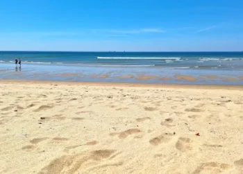 Matoshinhos beach in porto on a sunny day